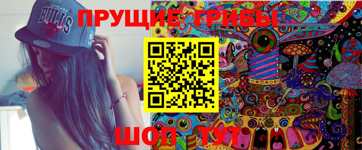 Галлюциногенные грибы Psilocybe Волоколамск