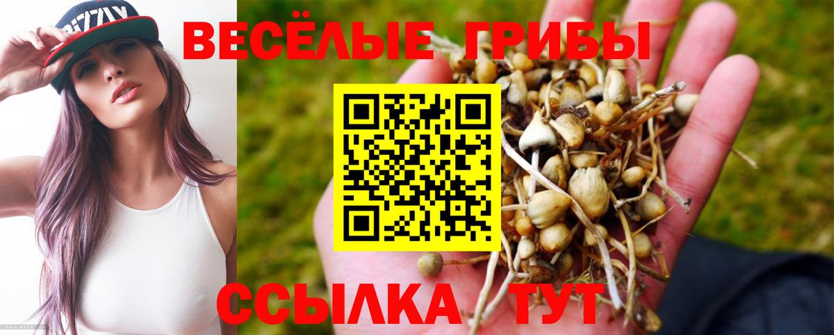 Галлюциногенные грибы GOLDEN TEACHER  Вход с VPN  купить наркотик  Волоколамск 